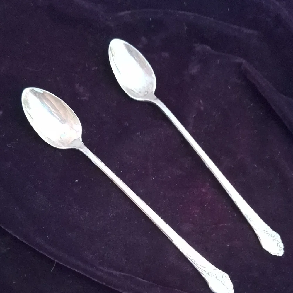Elegant Silver Spoons Set